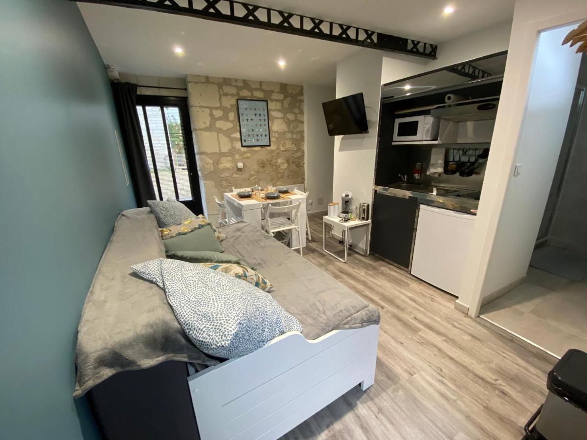 Studio Indre Climatise, La Halte De Cuze, Aux Abords De La Loire A Velo Huismes Экстерьер фото