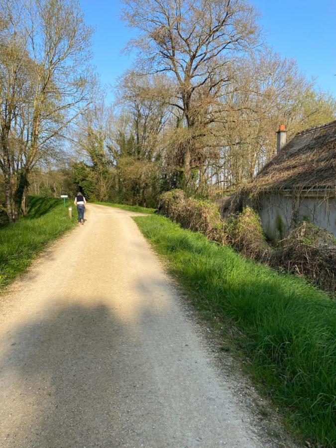 Studio Indre Climatise, La Halte De Cuze, Aux Abords De La Loire A Velo Huismes Экстерьер фото